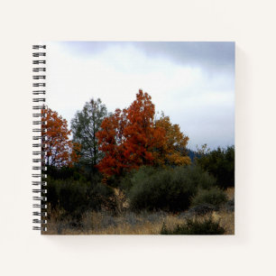 Die Schönheit des Herbstes... Notizbuch