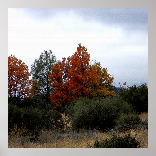 Die Schönheit des Herbstes... Poster (Vorne)