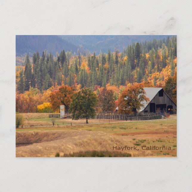 Die Schönheit des Herbstes.. Postkarte (Vorderseite)