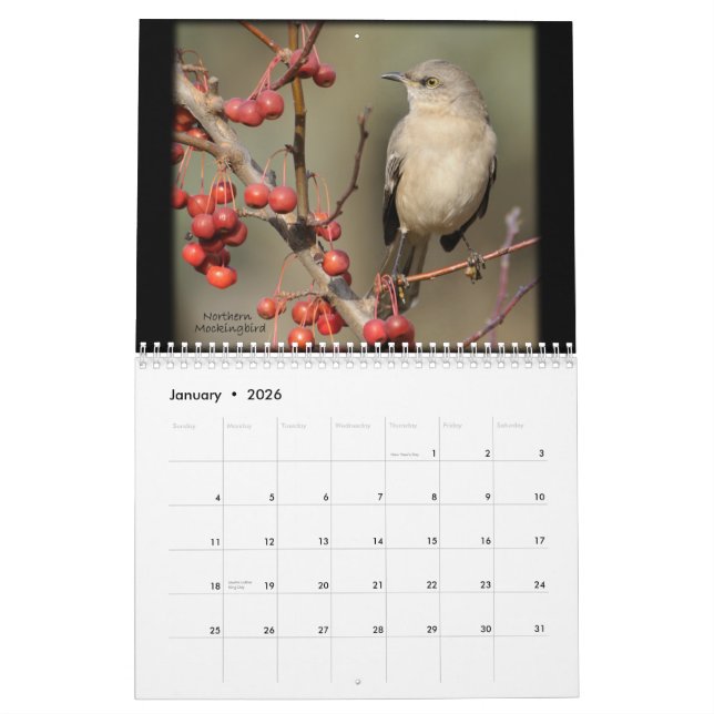 Die Schönheit des wilden Vogel-Kalenders Kalender (Jan 2026)