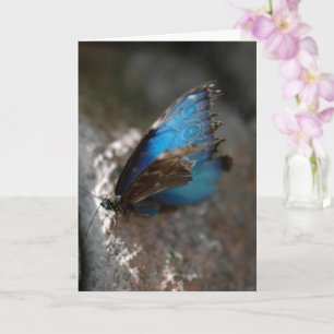 "Die Schönheit im Inneren" Blauer Schmetterling Karte