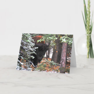 Die Schönheit von Chisana Karte