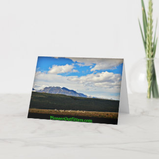 Die Schönheit von Chisana Karte