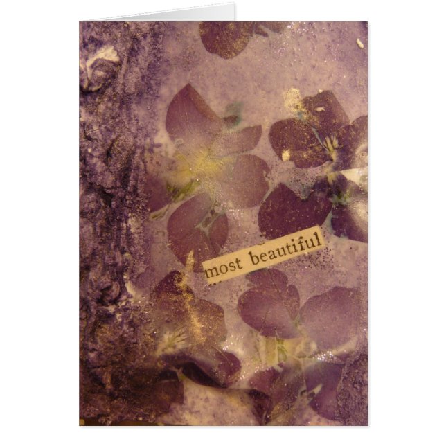 Die schönsten Blume (Vorne)