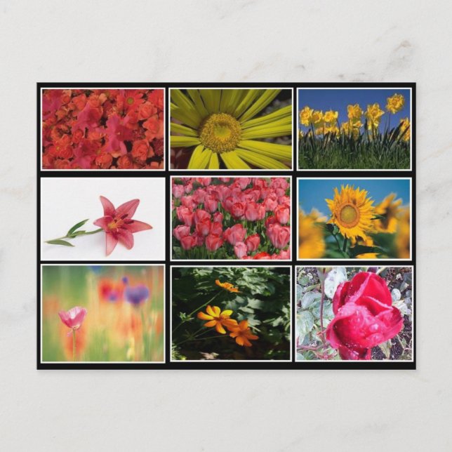 Die schönsten Blume Collage Postcard Postkarte (Vorderseite)