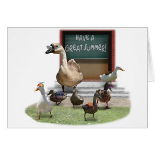 Die Schule ist raus, kleine Entenlinge mit Lehrerg