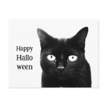 Die schwarze Katze Halloween