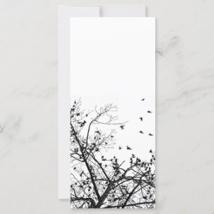 die schwarzen Vögel