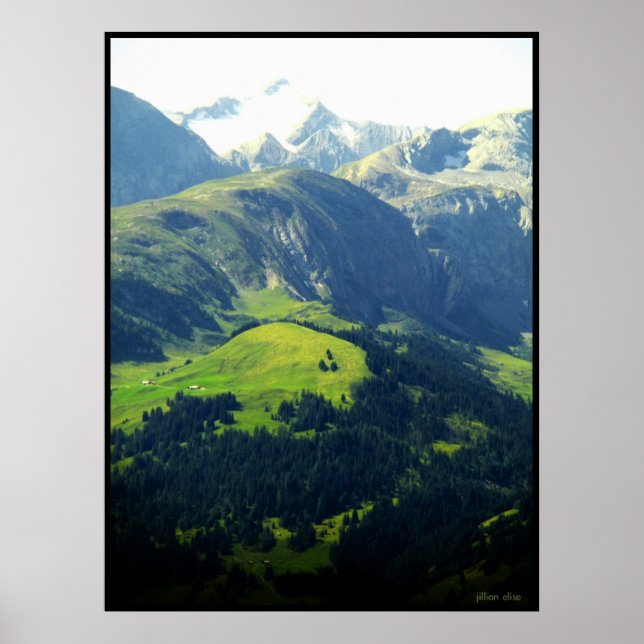 Die Schweizer Alpen Poster (Vorne)