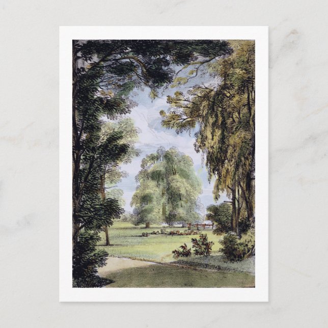 Die Schwesternbäume, Kew Gardens, Teller 8 von "Ke Postkarte (Vorderseite)