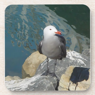 Die Seagull Larry Day Ken Gage Bird Fotografie Getränkeuntersetzer
