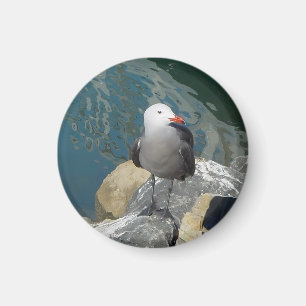 Die Seagull Larry Day Ken Gage Bird Fotografie Magnet