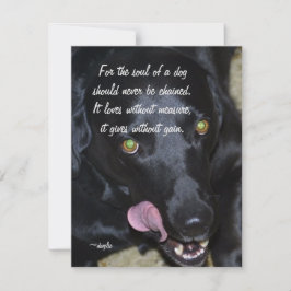 Die Seele eines Hundes - Black Lab Feiertagskarte