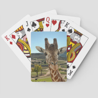 Die seltsame Giraffe, die Karten spielt Spielkarten