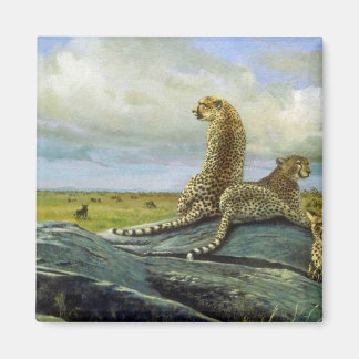 Die Serengeti, Cheetah Magnet