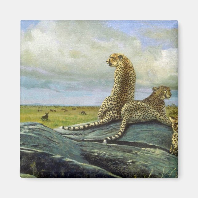 Die Serengeti, Cheetah Magnet (Vorne)