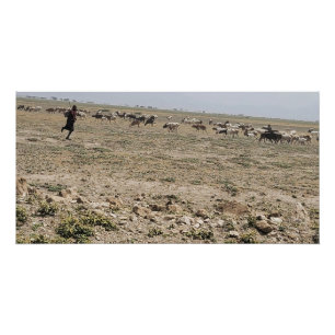 Die Serengeti rennen Poster