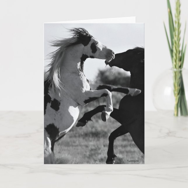 Die "Shaman-Grußkarte" Karte (Vorderseite)