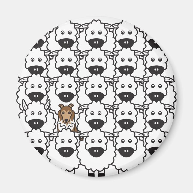 Die Sheltie im Schafe Magnet (Vorne)