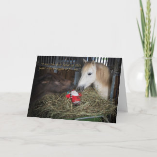 Die Shetlandinseln-Pony Weihnachten