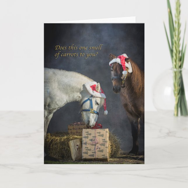 Die Shetlandinseln-Ponys am Weihnachten (Vorderseite)
