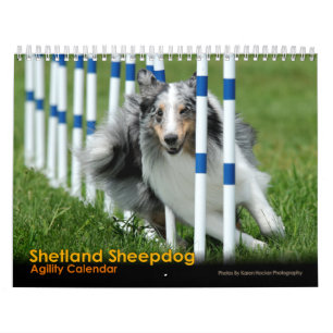 Die Shetlandinseln-Schäferhund-Agility-Kalender Kalender