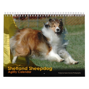 Die Shetlandinseln-Schäferhund-Agility-Kalender Kalender