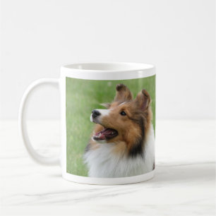Die Shetlandinseln-Schäferhund auf Tasse