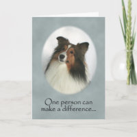Die Shetlandinseln-Schäferhund danken Ihnen zu