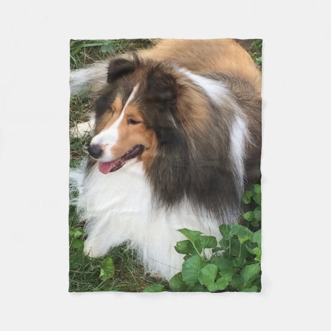 Die Shetlandinseln-Schäferhund-Decke Fleecedecke (Vorderseite)