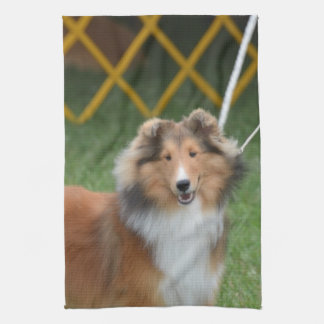 Die Shetlandinseln-Schäferhund Küchentuch