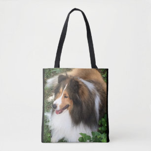 Die Shetlandinseln-Schäferhund, Sheltie