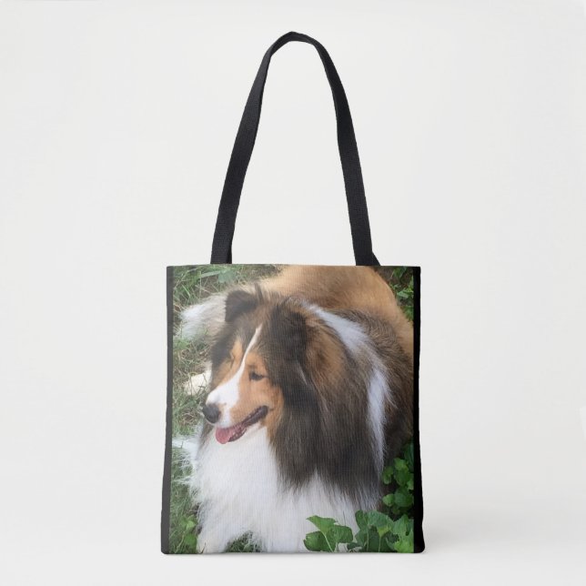 Die Shetlandinseln-Schäferhund, Sheltie (Vorderseite)