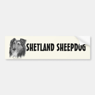 Die Shetlandinseln-Schäferhund (Sheltie) Autoaufkleber