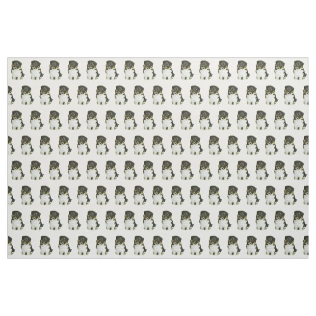 Die Shetlandinseln-Schäferhund Stoff (Yard (91,4 cm))