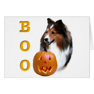 Die Shetlandinseln-Schäferhund(Zobel) Boo