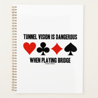 Die Sicht auf den Tunnel ist beim Brückenspielen g Planer