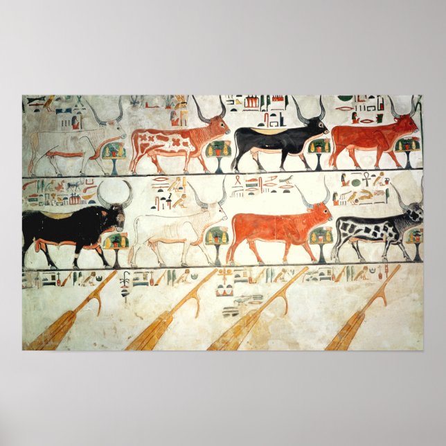 Die sieben himmlischen Kühe und der heilige Stier Poster (Vorne)