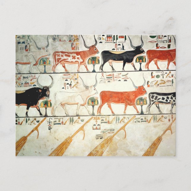 Die sieben himmlischen Kühe und der heilige Stier Postkarte (Vorderseite)