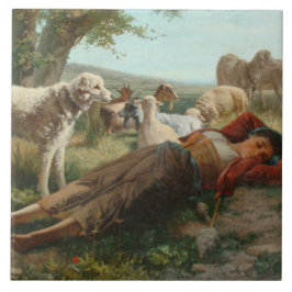 Die Siesta des Goatherder Girl's (von Carlo Ademol Fliese