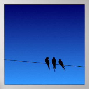 Die Silhouette der blühenden Schwarzvögel auf Wire Poster