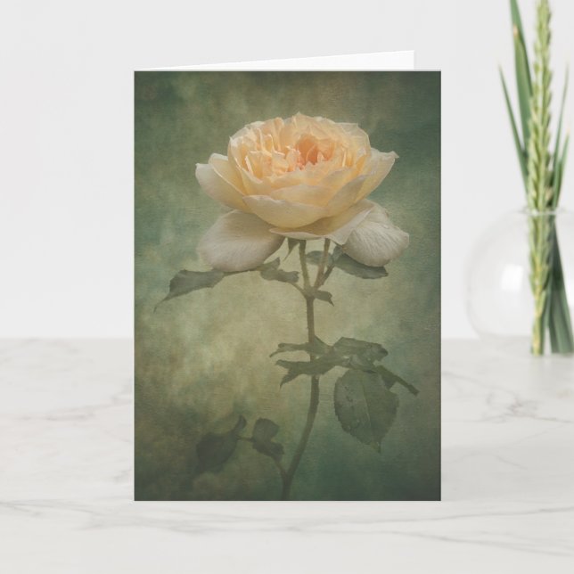 Die Single-Rose-Karte Karte (Vorderseite)