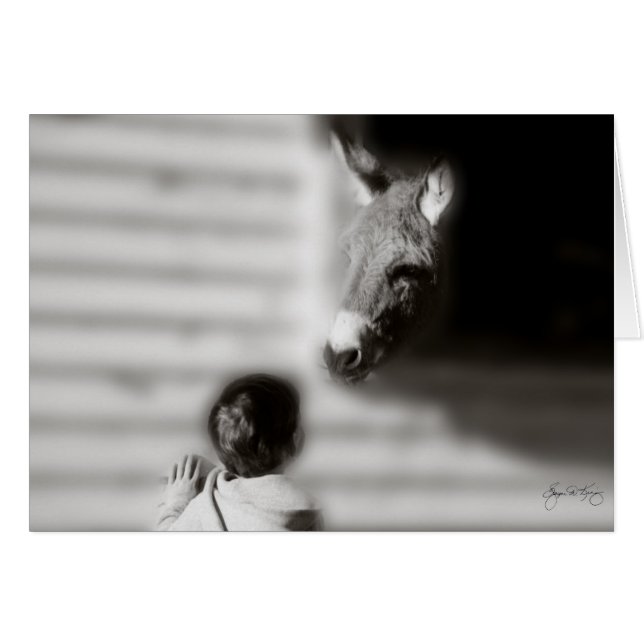 Die Sitzung (Vorderseite (Horizontal))