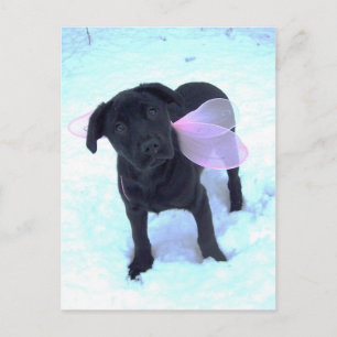 Die Snow Fairy Labrador Postkarte