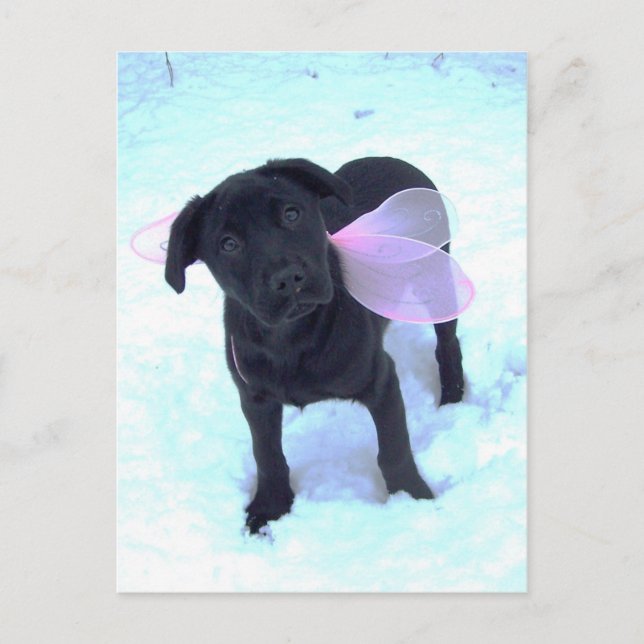 Die Snow Fairy Labrador Postkarte (Vorderseite)