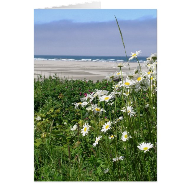 "Die Sommerpause im Ozean" (Vorne)