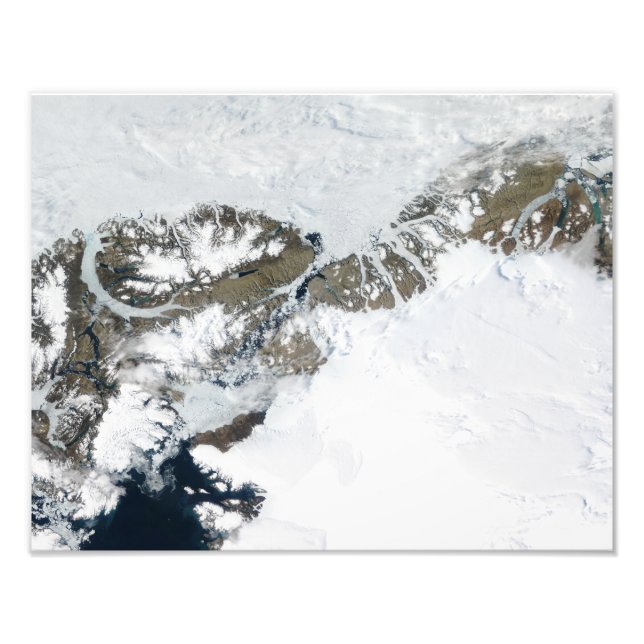 Die Sommerteufel Fotodruck (Vorne)