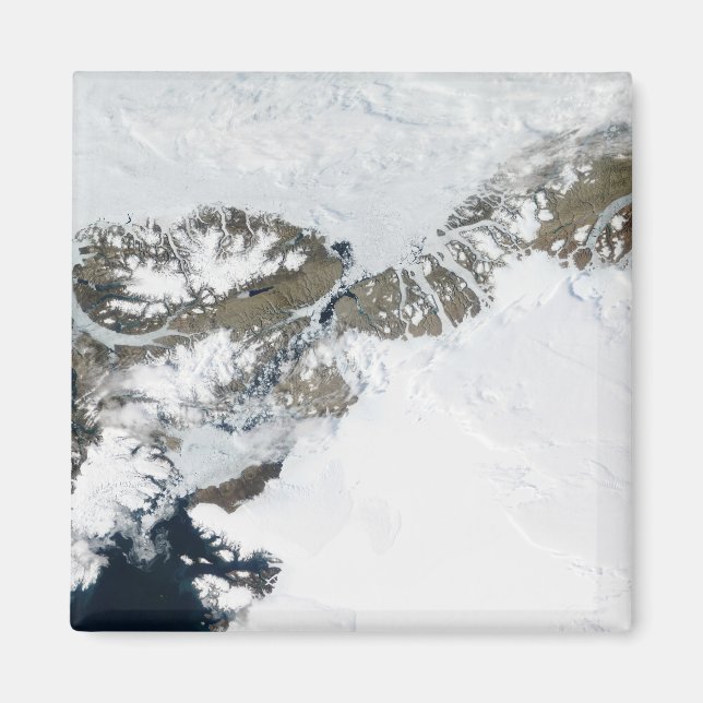 Die Sommerteufel Magnet (Vorne)