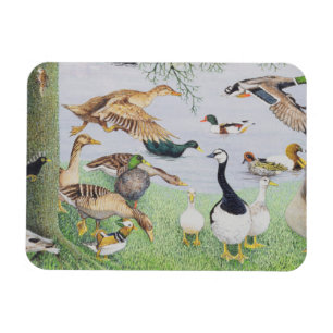 Die sonderbare Ente Magnet