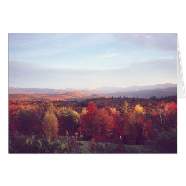 "Die Sonne fängt die Baumkronen an" (Vorderseite (Horizontal))